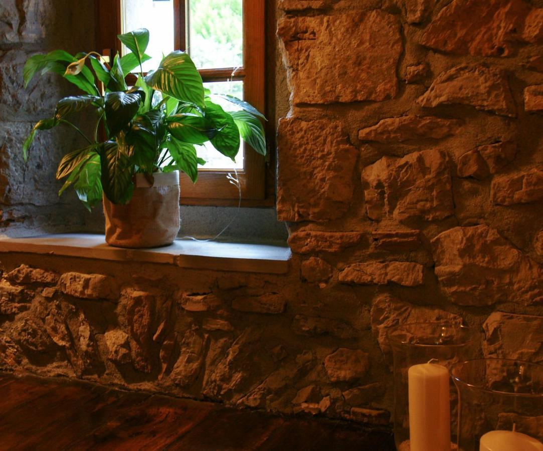 Hotel Rural Irigoienea Urdax エクステリア 写真